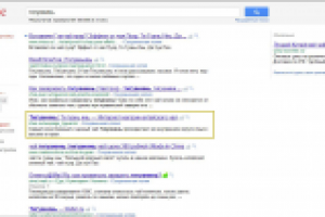 Поисковые системы, Тигуанинь