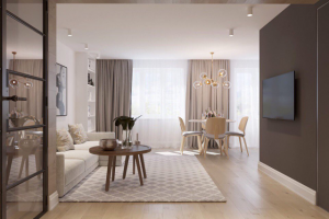 Студия+спальня для молодой пары в СОВРЕМЕННОМ СТИЛЕ