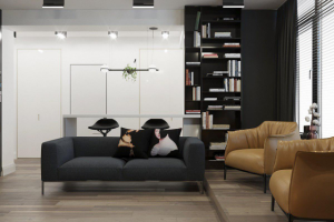 Квартира Холостяка в СОВРЕМЕННОМ СТИЛЕ