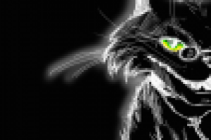 Обложка для комикса "Осторожно кот"