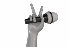 arm (original)