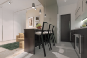 Кухня-гостиная