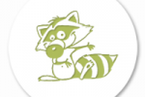 Химчистка у Енота