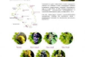 ГУП КК «Абрау-Дюрсо»