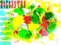 img2037182.png
