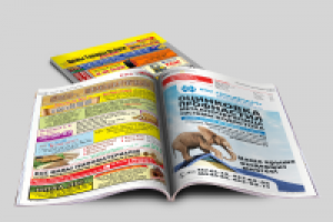 Еженедельный рекламно-информационный журнал