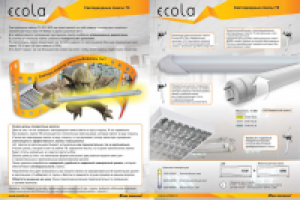 Листовка "Светодиодные лампы Т8", Ecola
