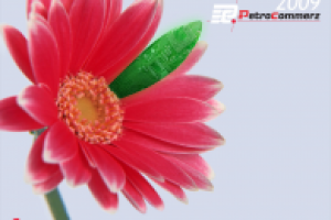 Шпигель для календаря-тройки для «Пертрокоммерц»