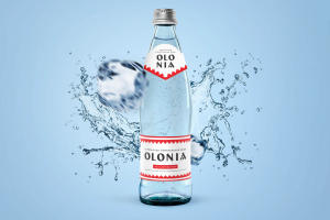 Работа 3312051