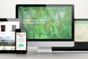 Сайт по суперфудам