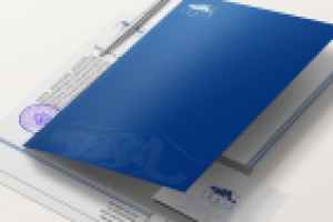 Айдентика прокат авто