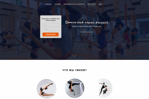 Студия воздушной гимнастики