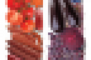 Брендмауэр ПРЕМЬЕР