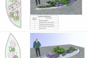 План цветника