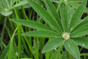 Работа 1034682