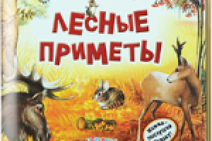 Иллюстрации для детской книги Лесные приметы