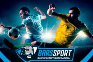 Обложка для группы ВК «BarsSport»