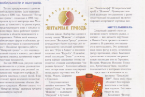 Стратегия мобильности