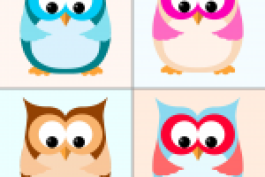 Owls
