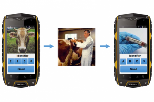 Контроль своевременной вакцинации и забора крови