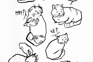 Стилизация котов