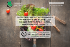 Блок для сайта здоровой еды