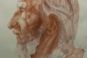 Работа 3020961