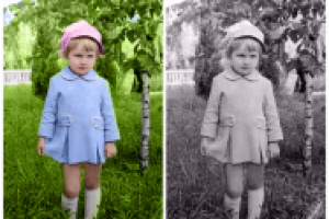 Работа 2857474