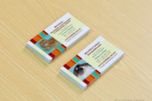 Визитки для питомника кошек