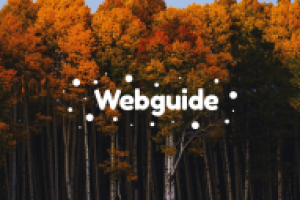 Webguide - справочник по веб-программированию.