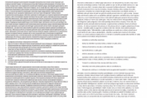 Концепция создания в Аматциемсе историко-игрового туристического