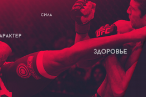 Шапка для группы ВК " Смешанные единоборства"