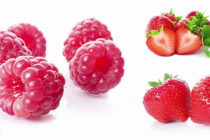 Работа 3568050