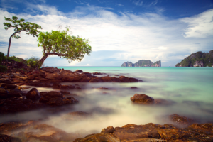 Работа 3540882