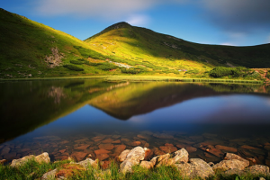 Работа 3540876