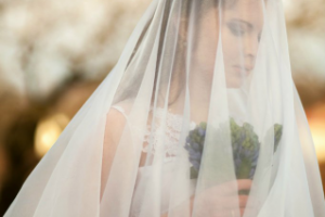 Работа 3347804