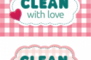 Фирменный стиль для клининговой компании