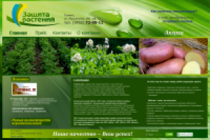 сайт-визитка