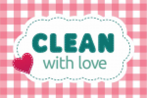 ФС клинингового агентства