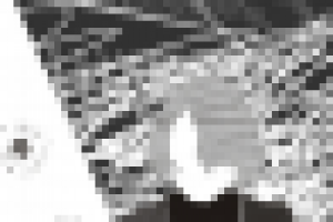 иллюстрация для журнала "Дождь"