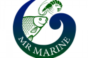 Лого для рыболовной компании в сине-зеленом цвете