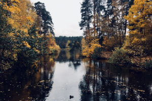 Работа 3562175