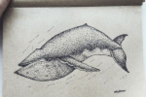 Кит в дотворке