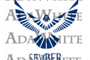 Логотип Сокол