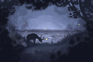 Задний фон - Туманный лес