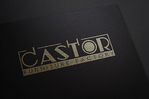 Castor