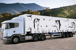 HorseBox