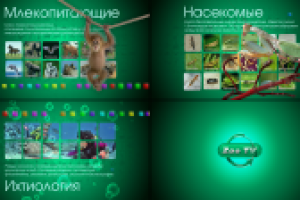 "Зоо ТВ" 2011