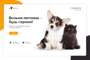 Веб-баннер для приюта животных