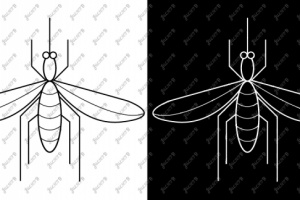 Работа 3465403